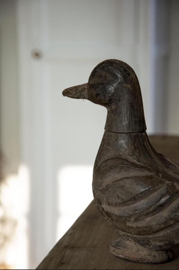 Le Roi Des Oiseaux - Gite A La Campagne Montcavrel Zewnętrze zdjęcie